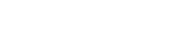 Official Partner Logo