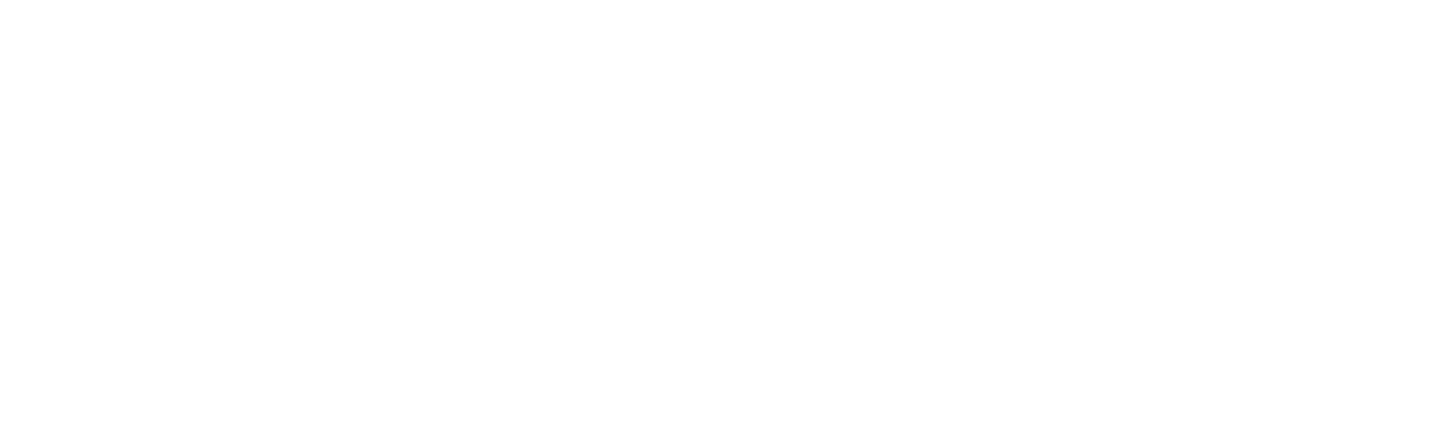 Official Partner Logo